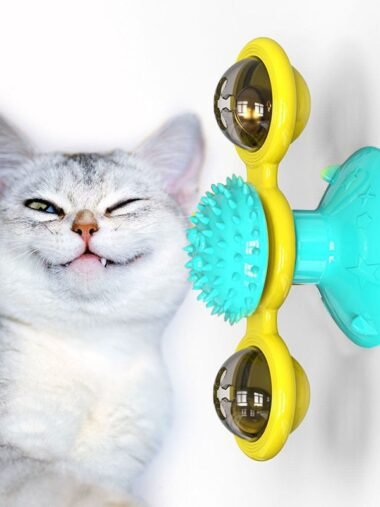 Cat Rotating Windmill